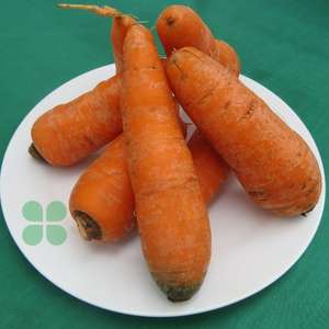 velout-de-carottes-et-mangues-au-gingembre